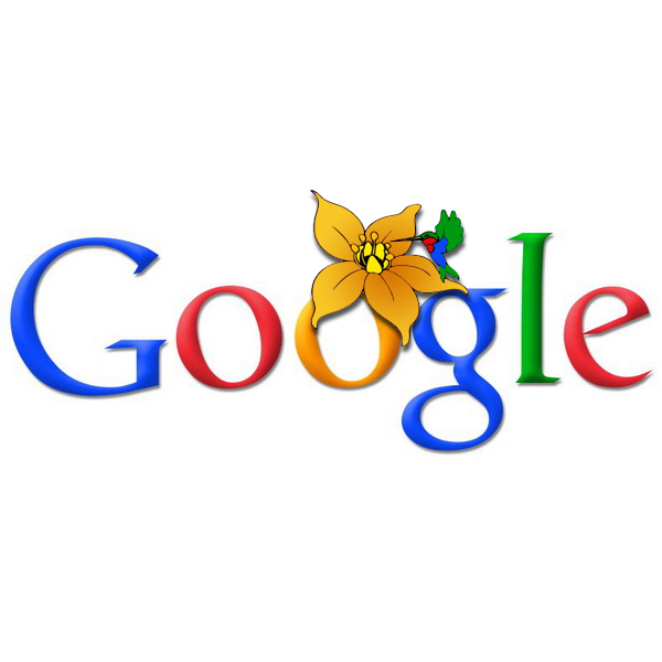 Google Hummingbird